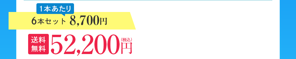 6本セット 8,700円