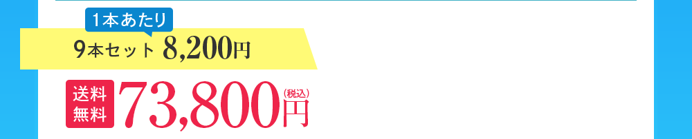 9本セット 8,200円