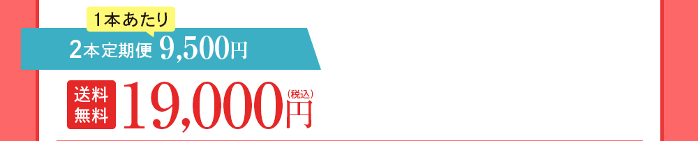 2本定期便 9,500円OFF