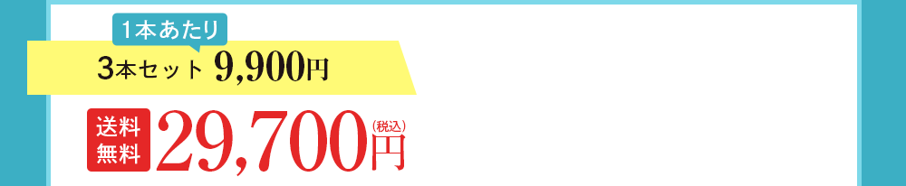 3本セット 9,900円