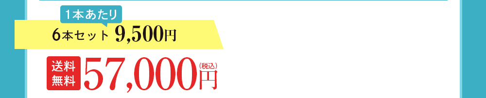 6本セット 9,500円
