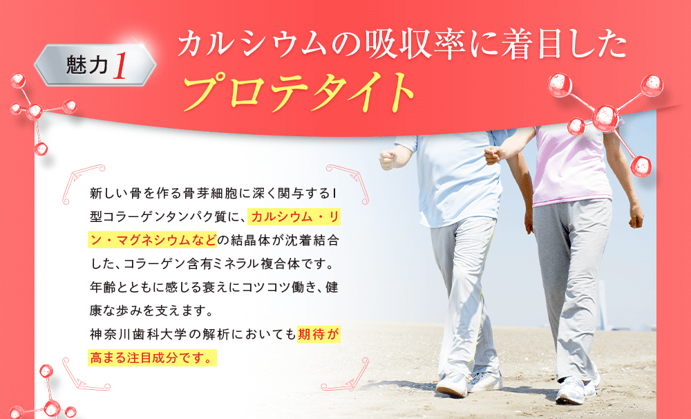 カルシウムの吸収率に着目したプロテタイト
