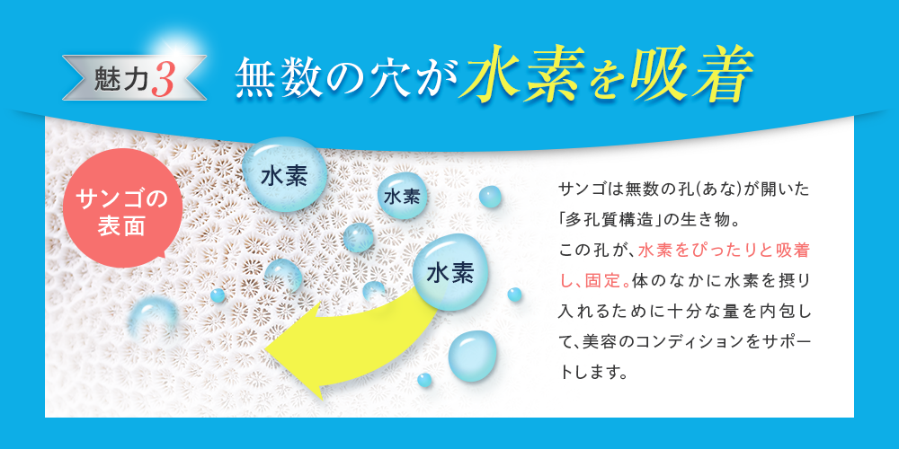 [魅力3]無数の穴が水素を吸着