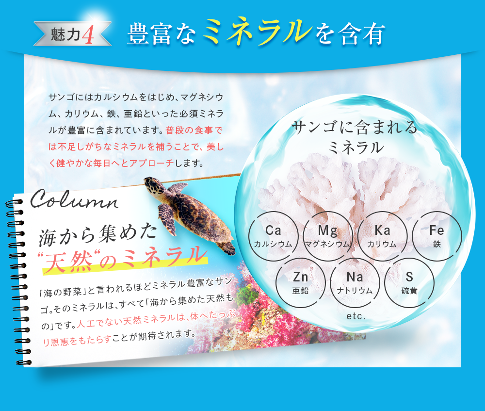 [魅力4]豊富なミネラルを含有