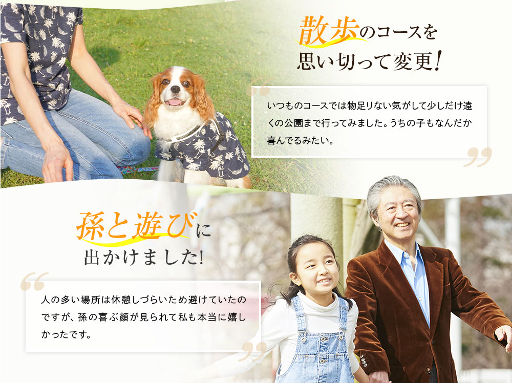 散歩のコースを思い切って変更！