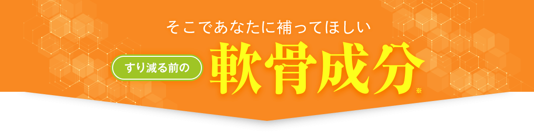 そこであなたに補ってほしい すり減る前の軟骨成分