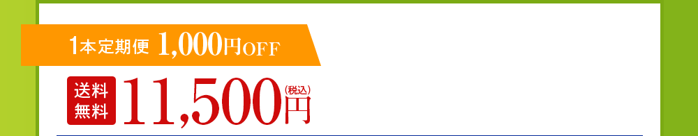 1本定期便 1,000円OFF
