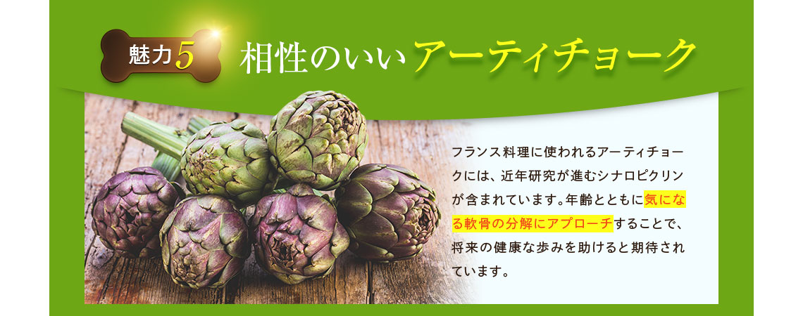 相性のいいアーティチョーク