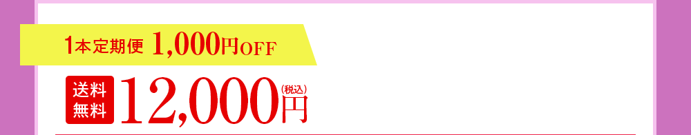1本定期便 1,000円OFF