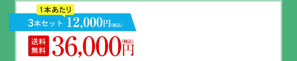 3本セット 12,000円(税込)