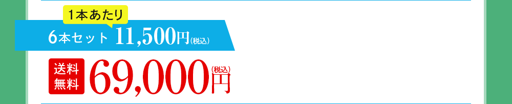 6本セット 11,500円(税込)