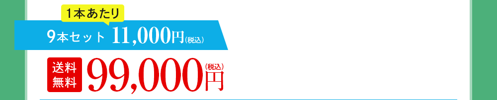 9本セット 11,000円(税込)