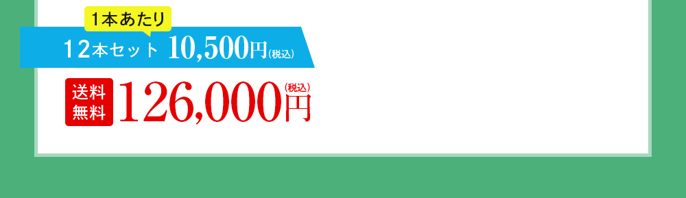 12本セット 10,500円(税込)