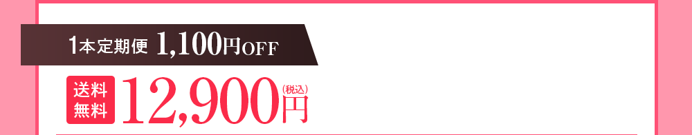 1本定期便 1,100円OFF