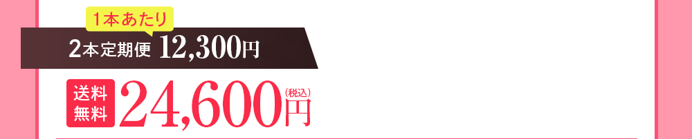 2本定期便 12,300円OFF