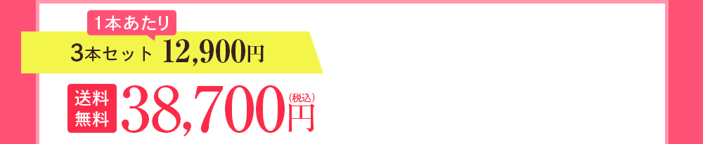 3本セット 12,900円