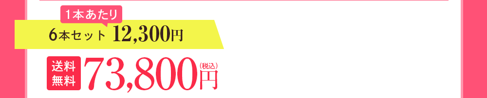 6本セット 12,300円