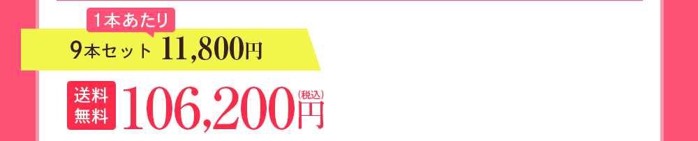 9本セット 11,800円