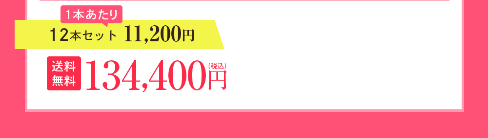 12本セット 11,200円