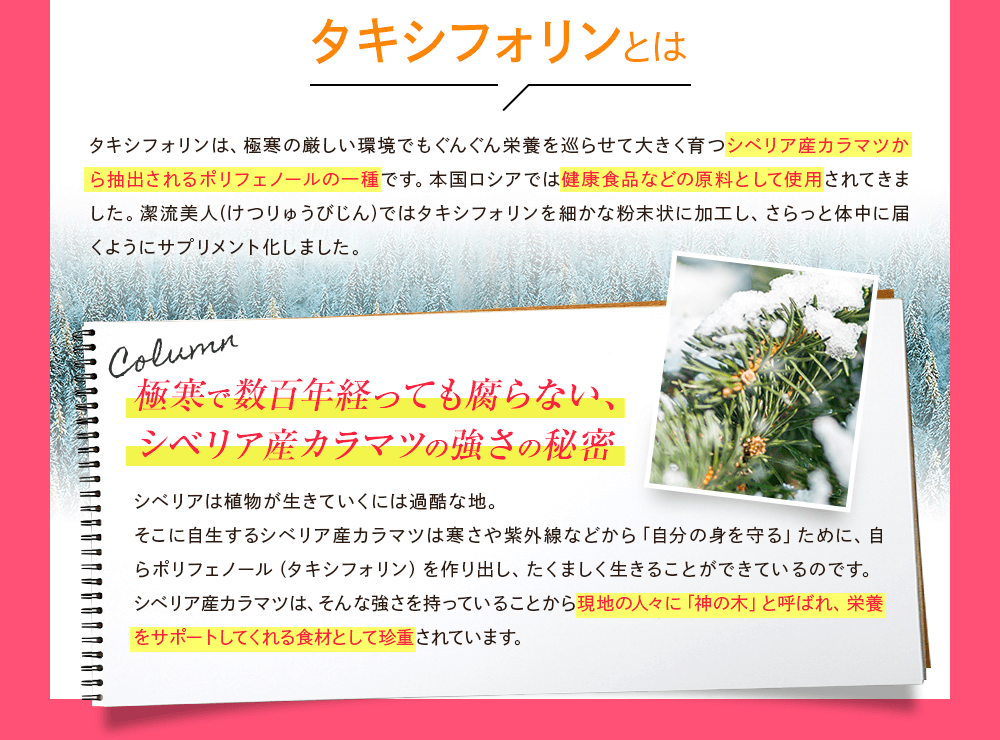 潔流美人(けつりゅうびじん)ではタキシフォリンを細かな粉末状に加工し、さらっと体中に届くようにサプリメント化しました。