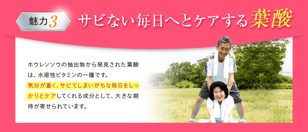 サビない毎日へとケアする葉酸