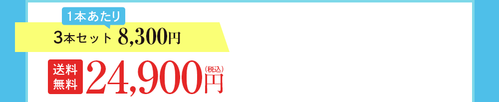 3本セット 8,300円