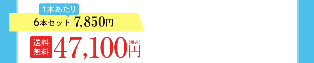 6本セット 7,850円