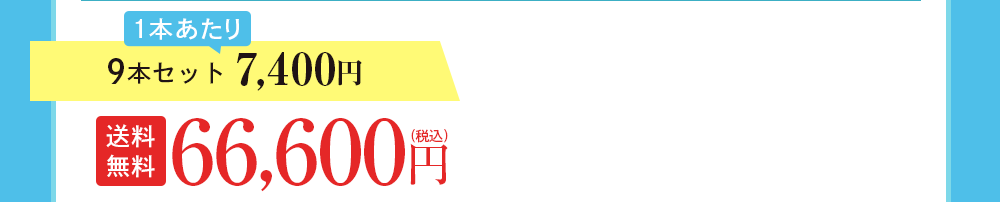 9本セット 7,400円