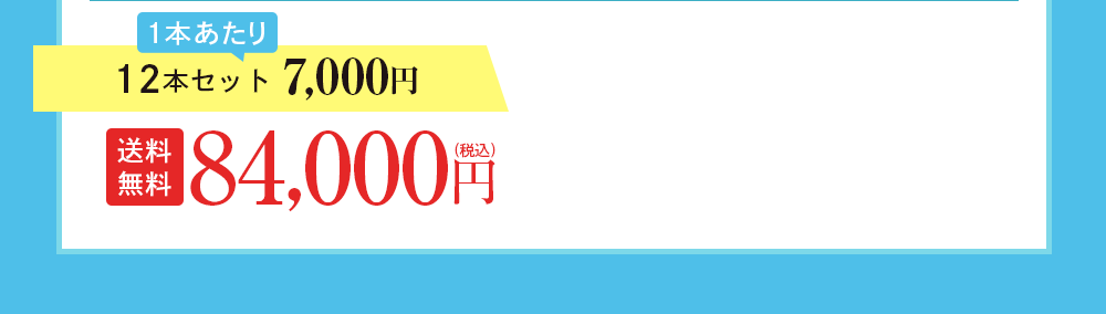 12本セット 7,000円