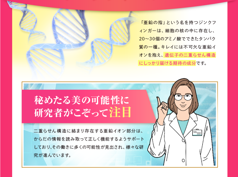 遺伝子の二重らせん構造にしっかり届ける期待の成分です。