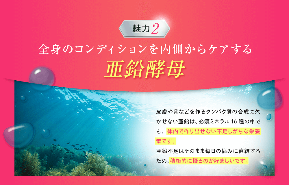 全身のコンディションを内側からケアする亜鉛酵母