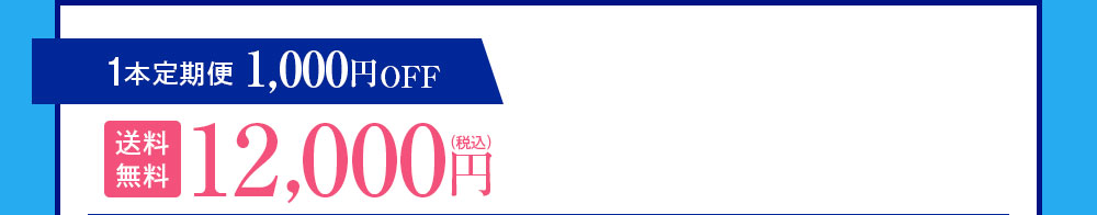 1本定期便 1,000円OFF