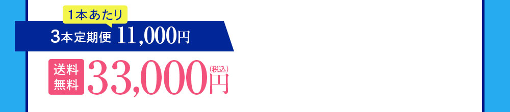 3本定期便 11,000円OFF