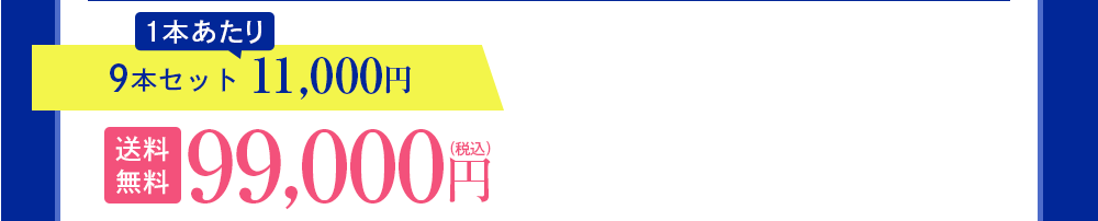 9本セット 11,000円