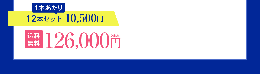 12本セット 10,500円