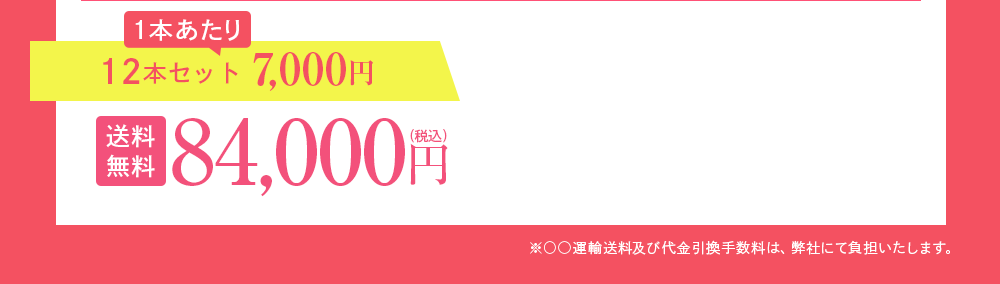 12本セット 10,500円