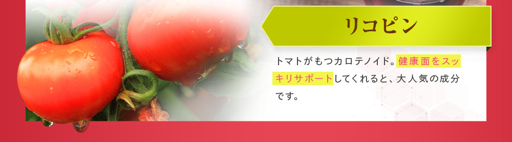 健康面をスッキリサポートしてくれると、大人気の成分です。