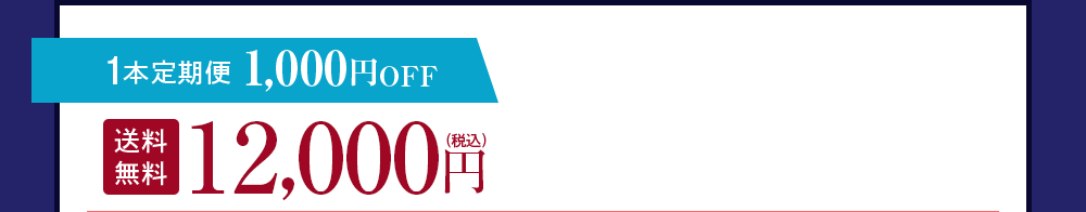 1本定期便 500円OFF