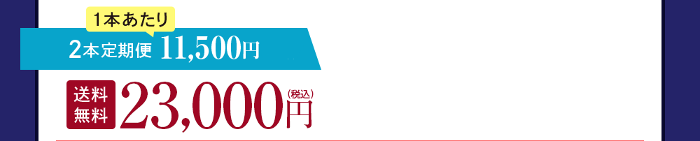 2本定期便 8,700円OFF