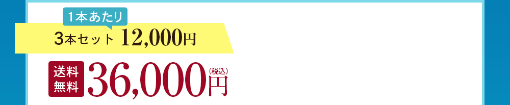 3本セット 12,000円