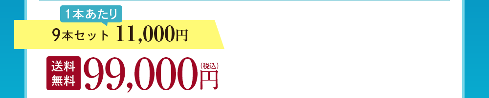 9本セット 11,000円