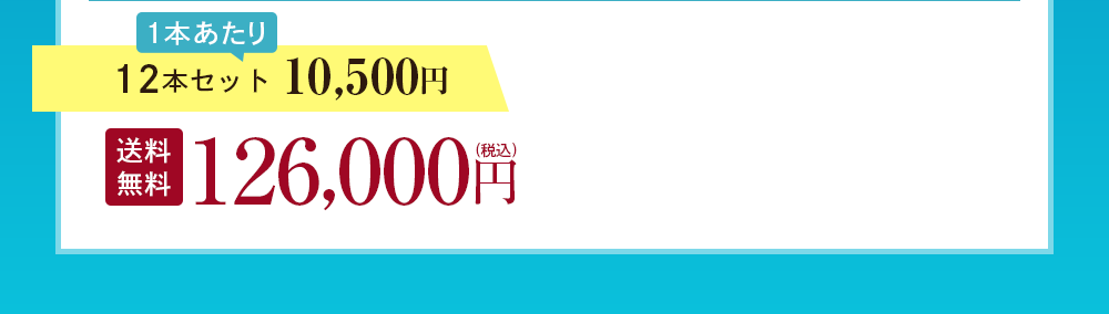 12本セット 10,500円
