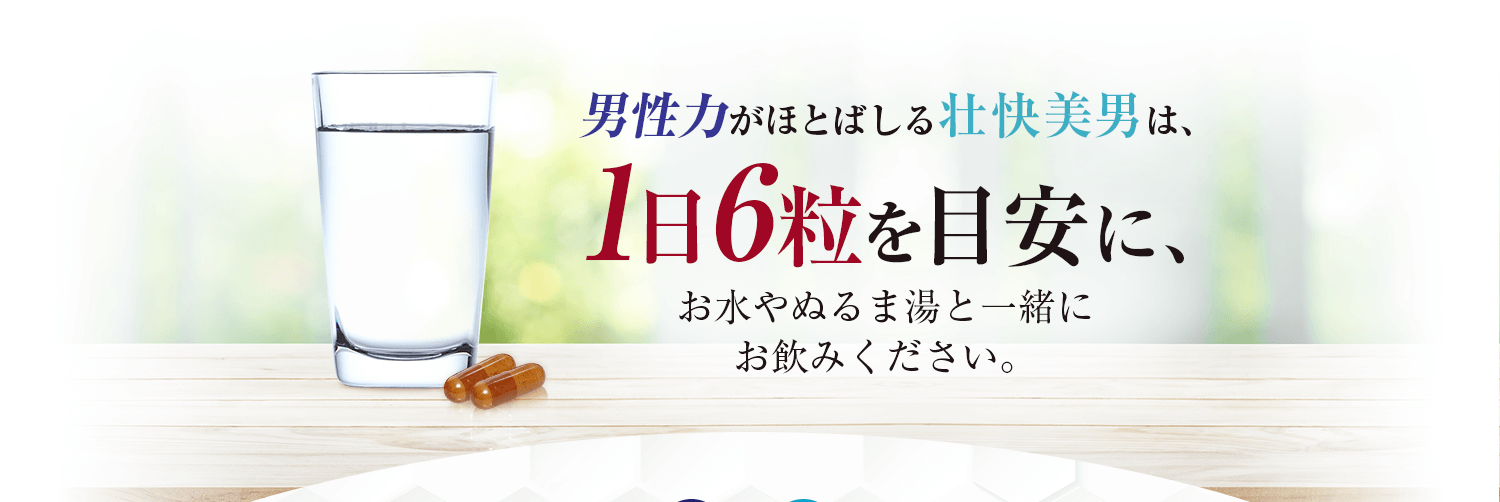 男性力がほとばしる壮快美男は、1日6粒を目安に。