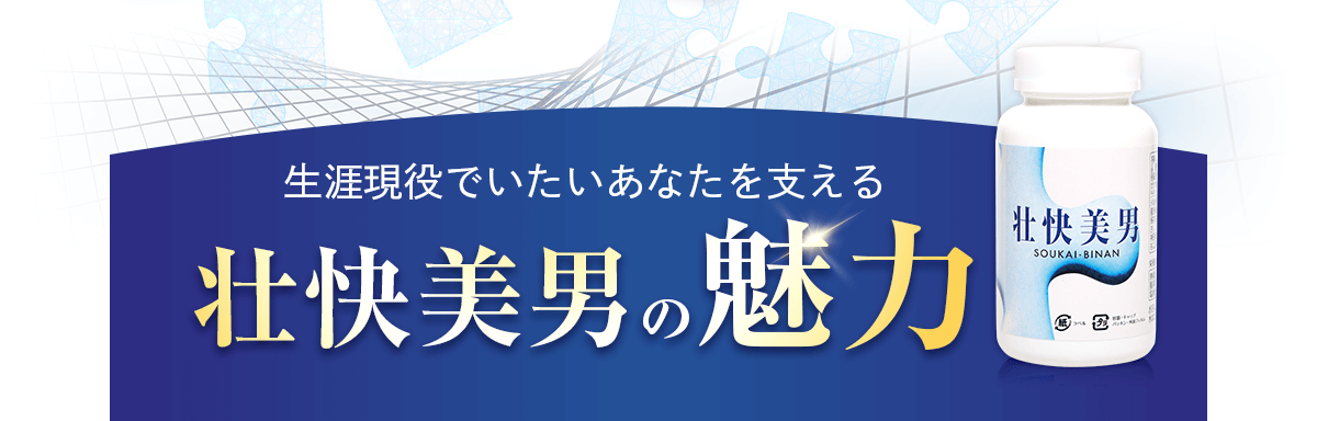 壮快美男の魅力