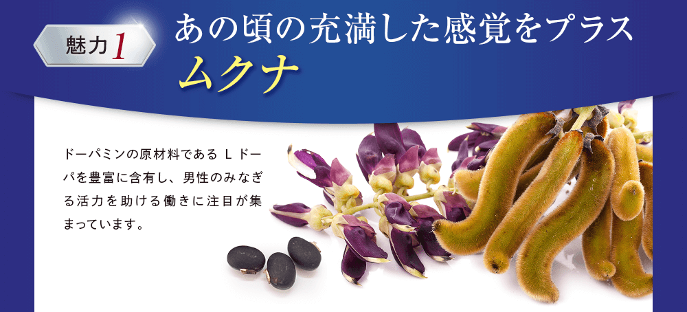 あの頃の充満した感覚をプラスムクナ