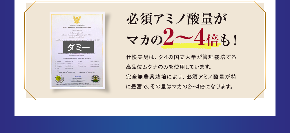 必須アミノ酸量がマカの2～4倍も！