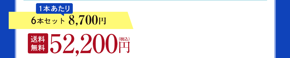 6本セット 8,700円