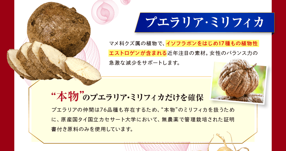 イソフラボンをはじめ17種もの植物性エストロゲンが含まれる