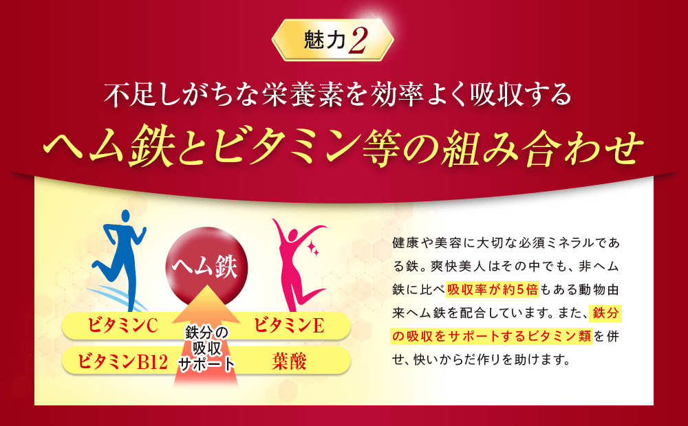 ヘム鉄とビタミン等の組み合わせ