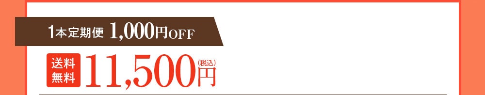 1本定期便 1,000円OFF